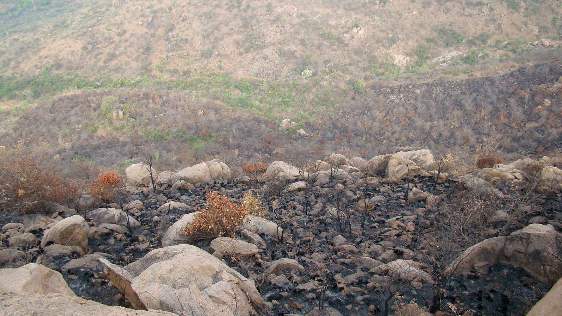 Natural Fire Break